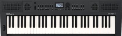 Roland GO:KEYS 5 Graphite