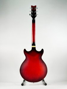 IBANEZ AM53 USATA