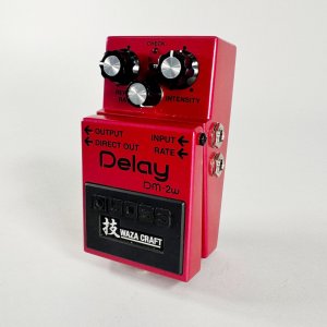 BOSS DM2W USATO