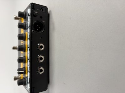 Radial Bass Boni 5 V2 Usato