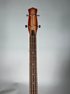 Danelectro Longhorn Copper Burst Usato