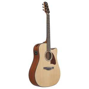 Ibanez AAD51CE Natural High Gloss