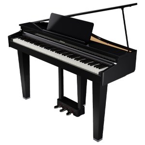 Roland GP3 PE Polished Ebony