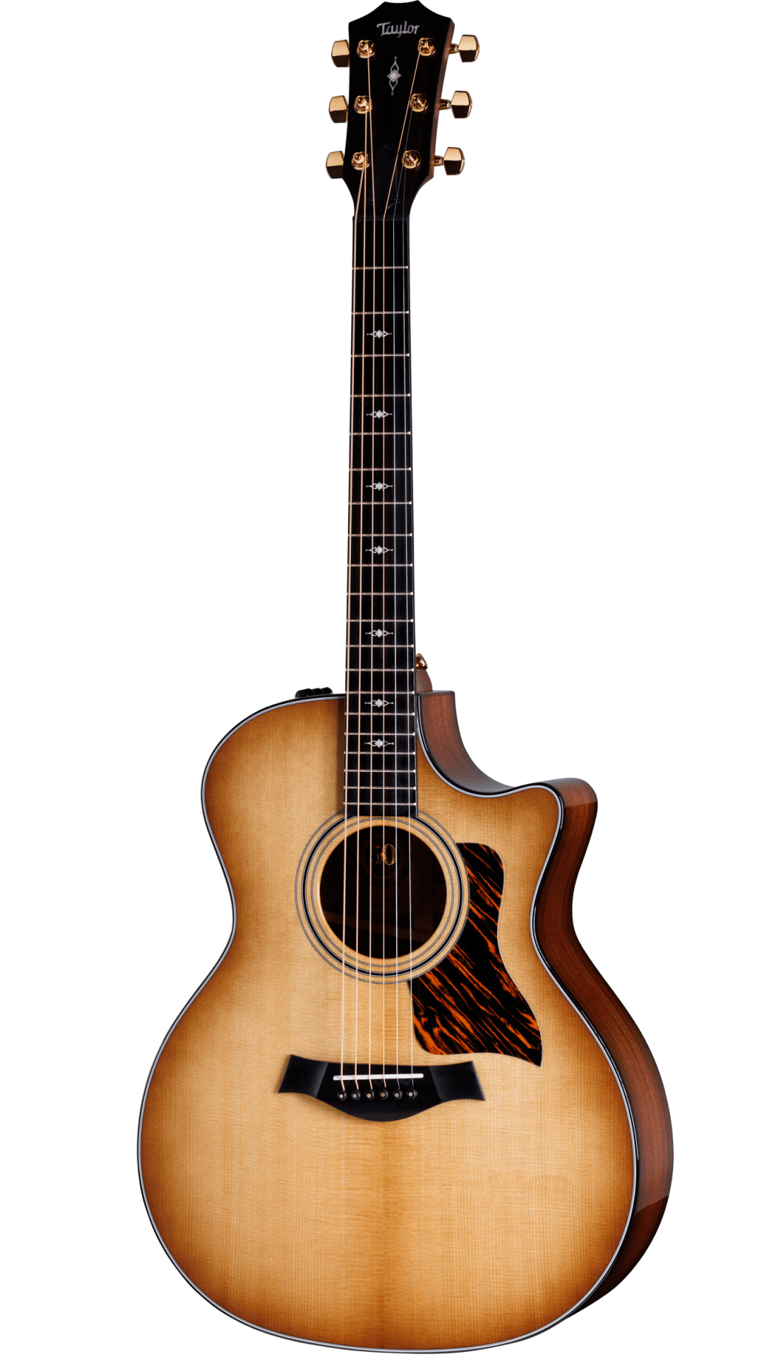 Taylor 314Ce Builder'S Edition Ltd 50th Natural Top