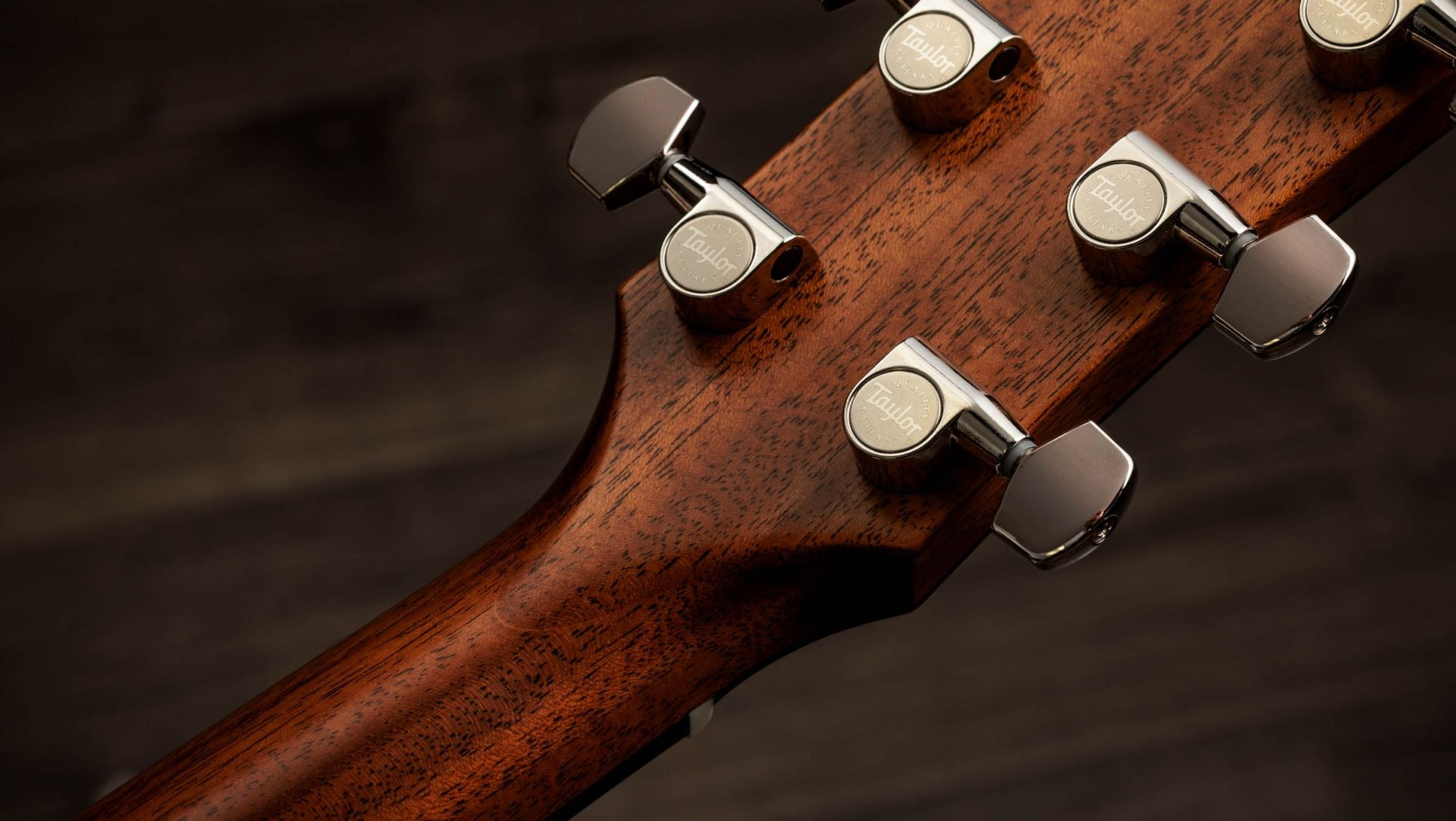 Taylor 517E SB Sunburst Gold Label Cream Pickguard