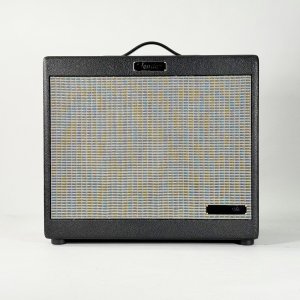 TONEMASTER CASSA FR10 USATA