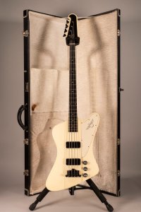 GIBSON THUNDERBIRD USATO